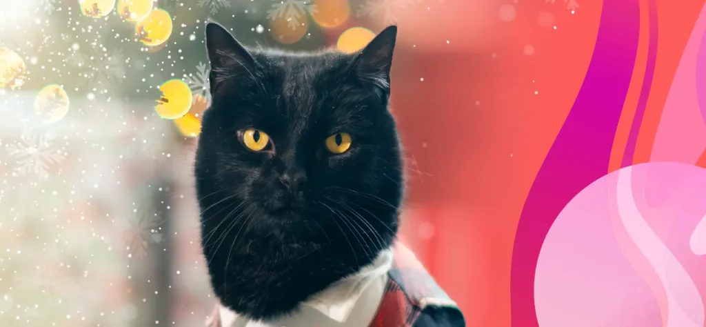 The black cat, Simon “backpackingkitty”, wears a plaid sweater vest, standing in front of a festive background.